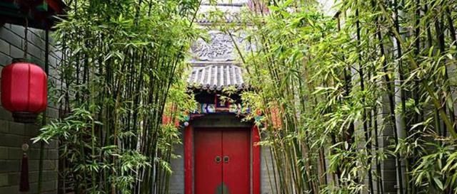  科学依据■“门前种竹，做人狠毒”这句农村俗语说法对吗？有何