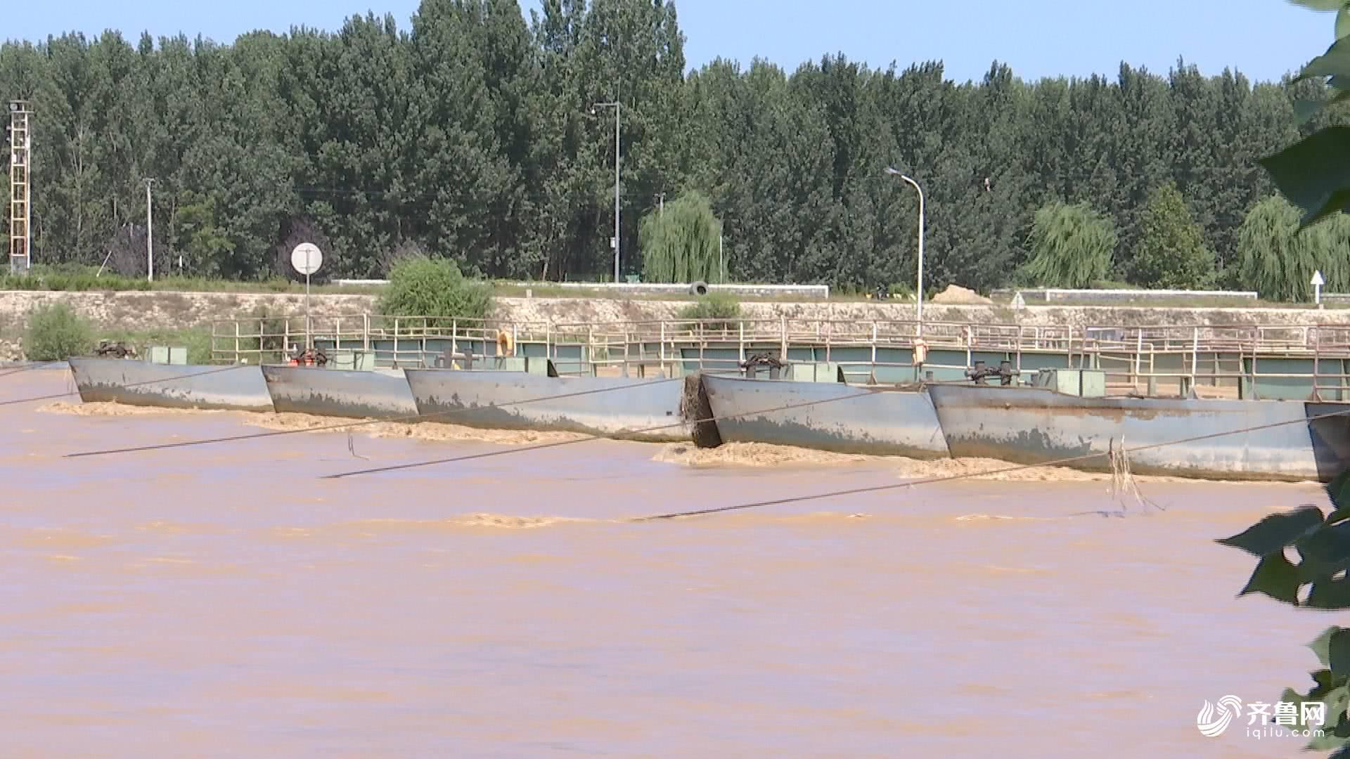  「黄河浮桥」黄河后汛期来袭，山东境内54处黄河浮桥今日全部拆