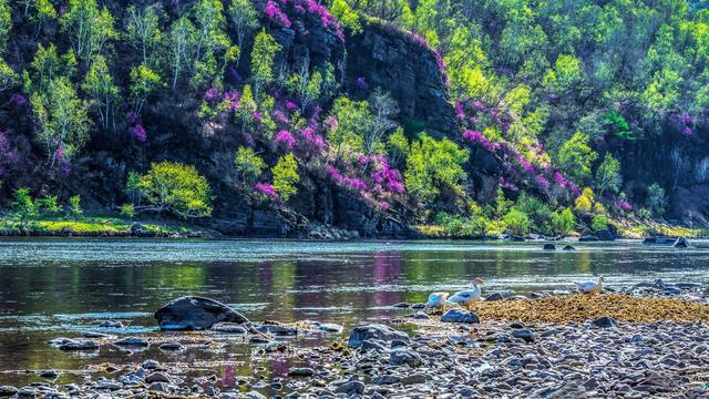 中国最大的草原！面积堪比一个浙江省，风景美到让人惊艳