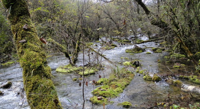 四川改名最成功的城市，从无人问津不知名小城，一夜之间家喻户晓