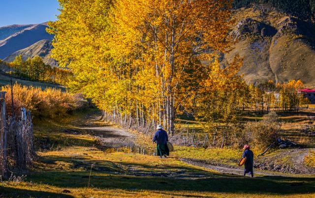 有“问题”的2张秋景照片,拍摄有瑕疵,摄影中级班点评