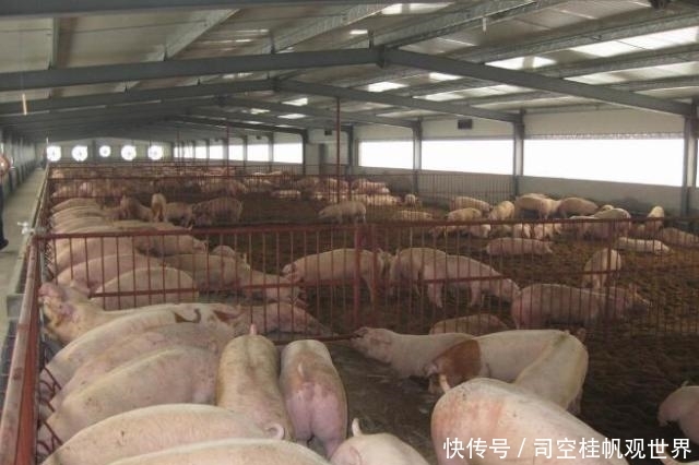  #养殖场#农民朋友：新的消息又来了，尽早知道为好！