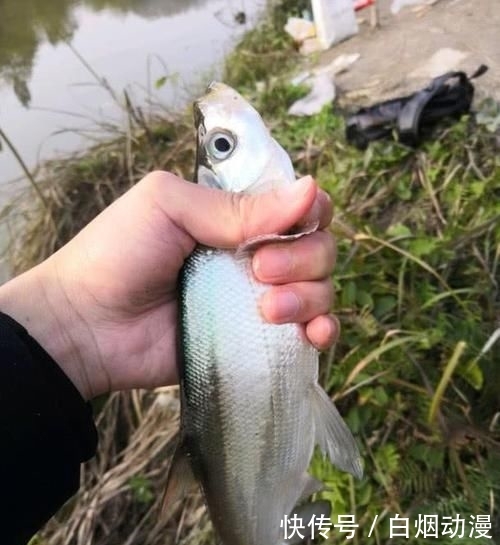 『好奇心』为啥很多钓友喜欢提别人鱼护？被提鱼护的又为啥很讨厌这种人？