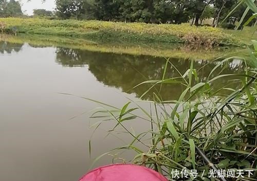  「信号」夏季野钓浮漂没信号，为什么抬竿总能锚到鱼这三点原因你要知道