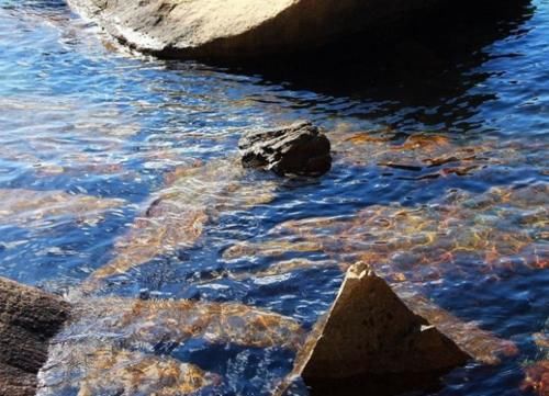 中国一座“低调”小岛，景色媲美马尔代夫，关键是消费还很低！