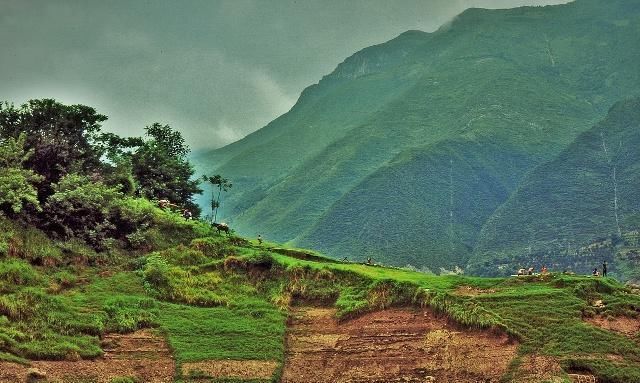 现代诗：长江黄河流淌着……