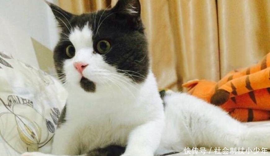 网传桂林3小孩被人贩子打晕后绑走！事实真相让人哭笑不得