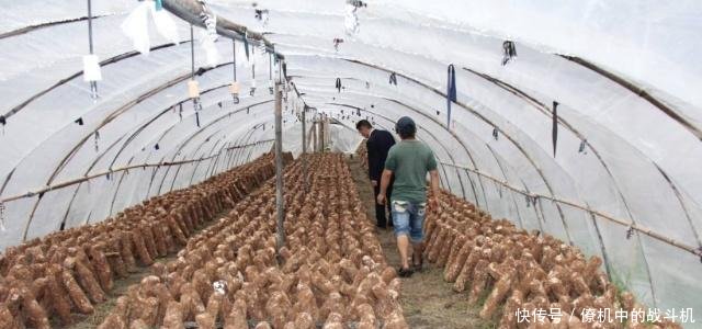 这三个行业前景很好，已经有人赚到钱了，你觉得怎么样