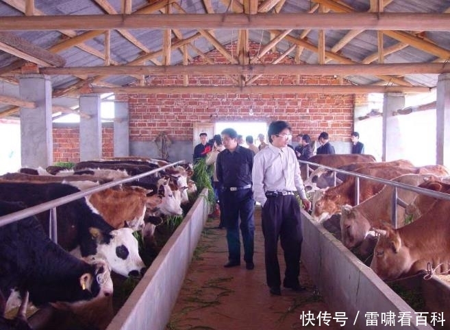  #养殖场#农村的养殖户注意，这3类养殖场或将被拆除，赶紧了解下