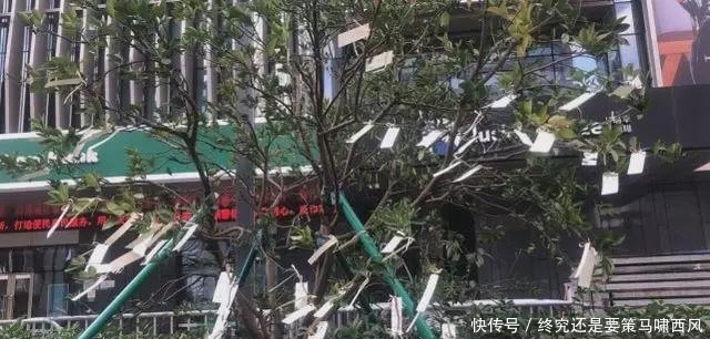 高以翔粉丝鲜花