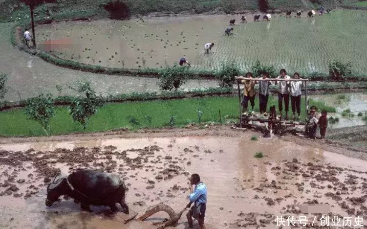 罕见老照片，上世纪80年代左右中国农村图景，图3让人非常羡慕