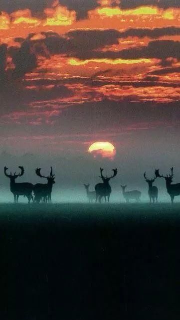 奇妙风光,难得一见