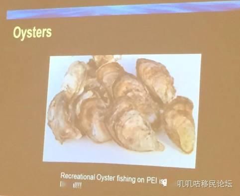  [不需要鱼证]爱岛解禁，渔季到来，我们可以去钓鱼吗？需要注意哪些规定？