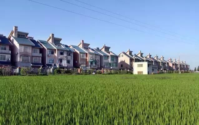 国务院规划 ，敲定乡村振兴战略五年“施工图”