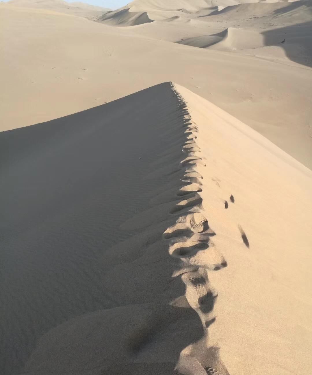 鸣沙山上驼队悠悠，月牙泉边人潮滚滚