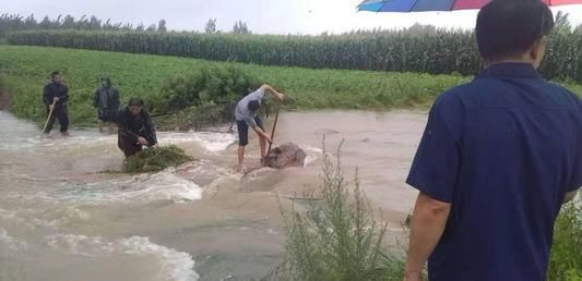 迎战利奇马，违纪干部获免责：给予再次“赶考”的机会，点赞