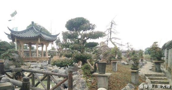 占用耕地“违建”何时休这么漂亮的盆景园，也逃不过被拆的命运
