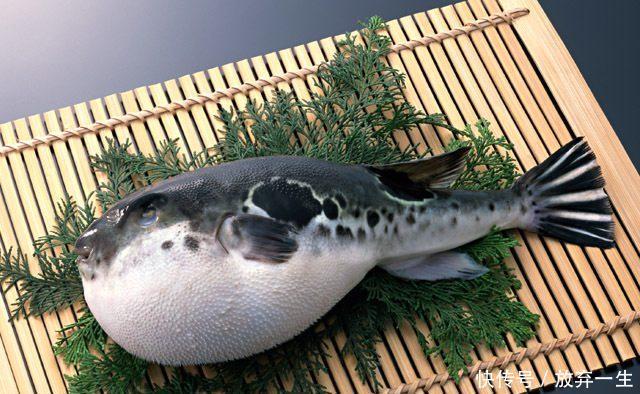 泰国清迈:风景美消费低的梦幻之城,国内直飞只需3小时!