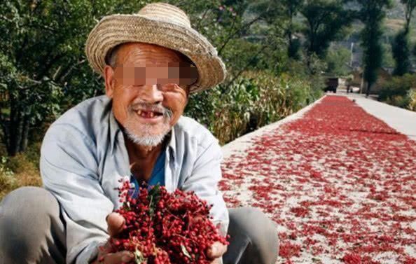 在超市一斤卖到50块，但是农民不愿意种，这是为什么呢