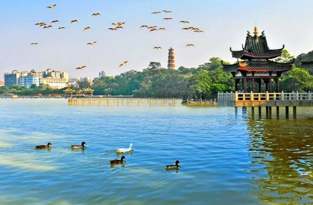  「一线城市」广东最具发展空间的城市，广州、深圳落选，它有望