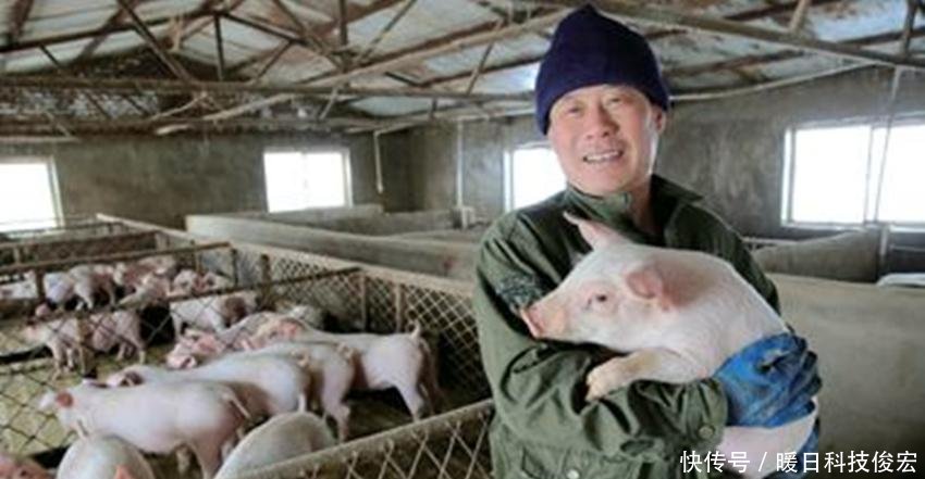  「500万」国家动真格了，发放养猪补贴，少的有50万多的有500万
