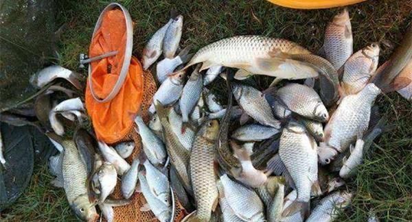  『技巧』4月发文：野钓中钓点选择技巧：从4个方向入手