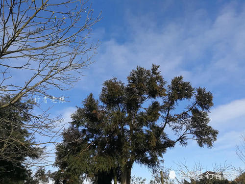 登上海拔1300米的南岳衡山，终于见到了2019年第一缕阳光