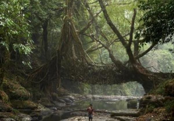  「东北信风」世界上最潮湿的地方，一年有335天都下雨，被子都能长蘑菇！
