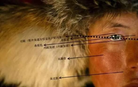  样儿■“匈奴人长啥样儿”各国学者也犯糊涂了！
