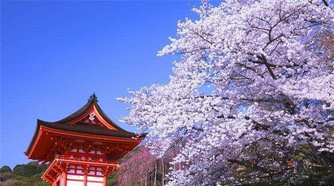  #金阁寺#日本仿效中国修建的城市，用金子打造寺庙，庭院被称为极乐净土