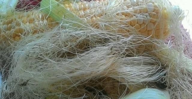  『玉米皮』“藏”在玉米地里的4种宝，不是只有玉米，全认识的才是“大神”