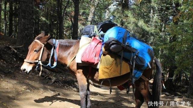 进藏前感冒了，到底要不要继续去西藏独自进藏的女孩告诉你答案