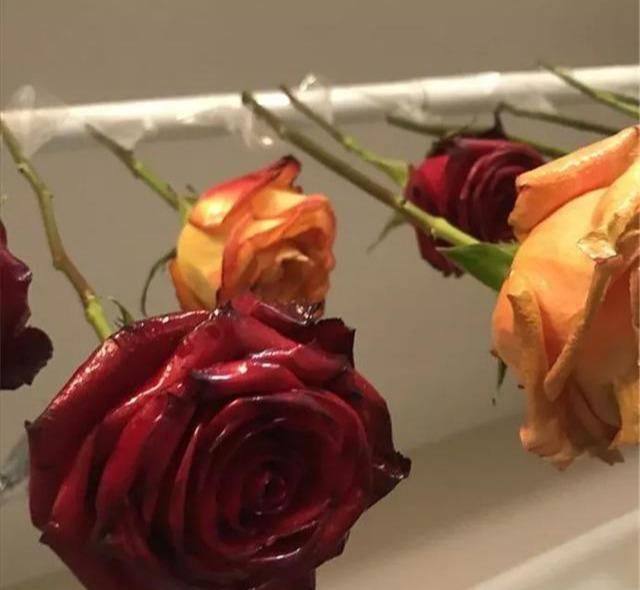  『手工』DIY手工制作：用干花做的花艺作品，比鲜花还美！