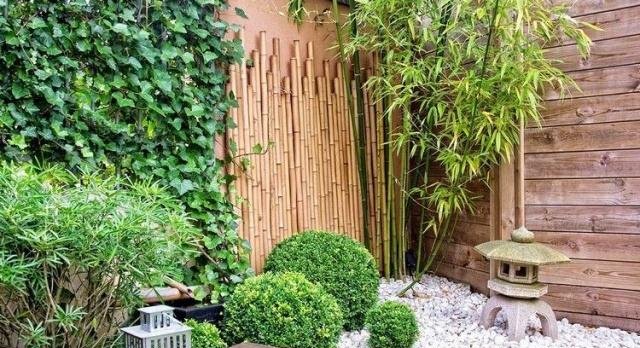 庭院竹子50张图告诉你，花园里种竹子有多高大上，气质瞬间提升