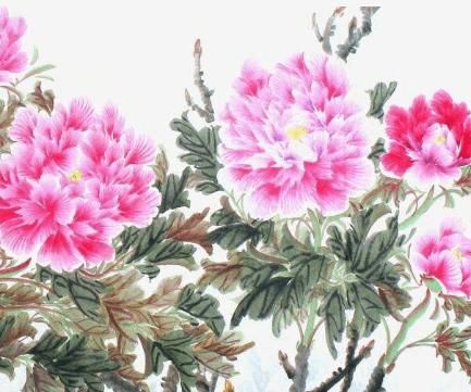  『家庭和睦』家有这几个生肖，光宗耀祖，家庭和睦，添喜添财