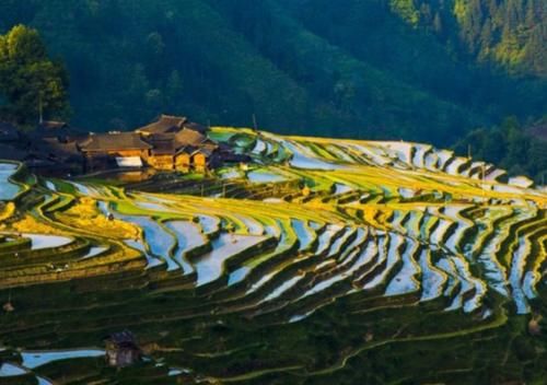 世界之最，加榜梯田，散落着苗乡特有的吊脚楼