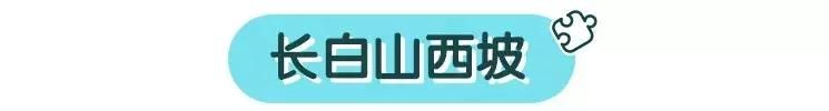 一起去吉林省的长白山看一看吧