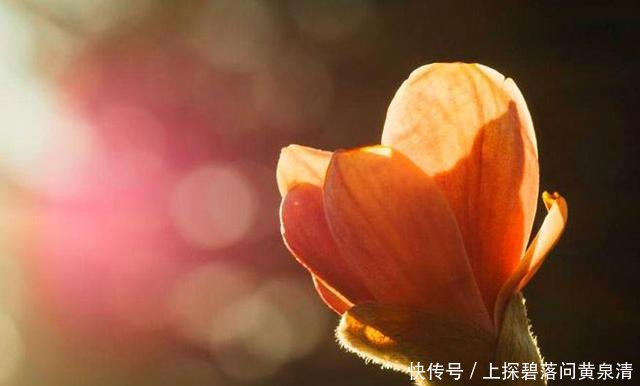 「心痛」有一种深爱,叫不能相伴一生,思念到心痛