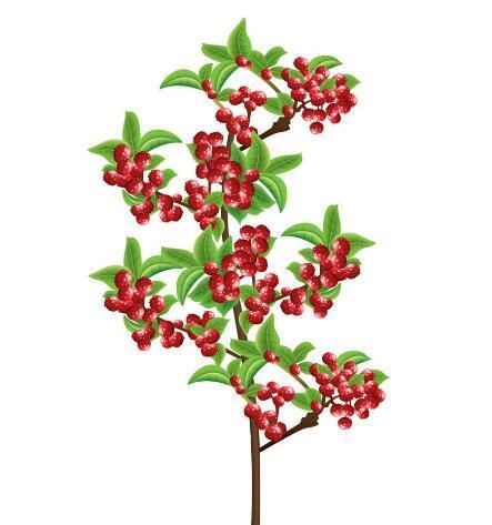 厨房里常用的东西,28天祛斑美白,皮肤干干净净,嫩如豆腐