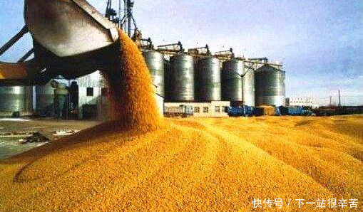 美国大豆被制裁,这国竟想取而代之:来买我们的