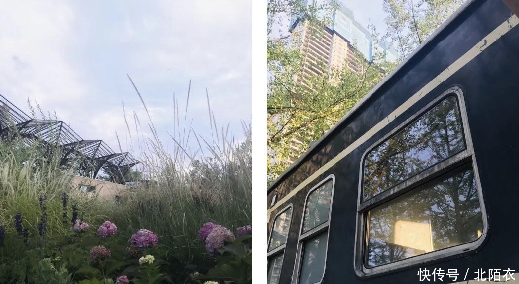 乱逛 | 沙河源公园,北门的又一个新新公园