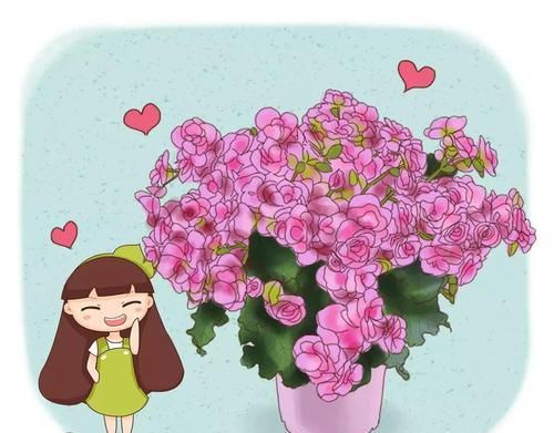  『长春花』7种转运花，年底在家养一盆，开花就是好兆头！