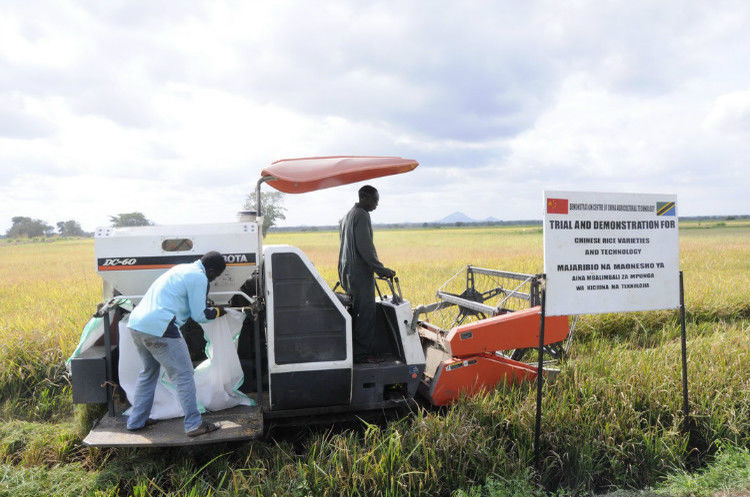 非洲农村中国水稻丰收,开收割机难坏乐观非洲