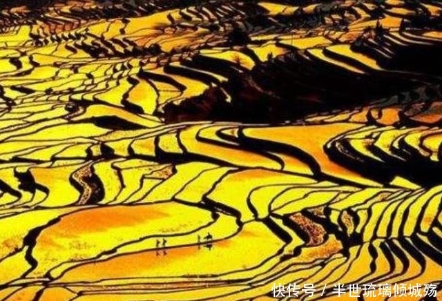 广西最具“个性”的梯田，生长在溶洞之中，面积达6000多平方米