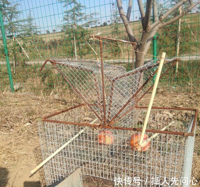 只有80后农村人知道这是干嘛的，现在想见都难喽，你知道这是啥