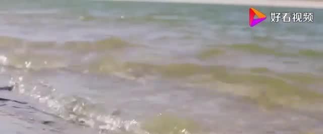 中国发明“吞沙巨兽”，一天能改变40亩沙漠，已在甘肃建设使用！