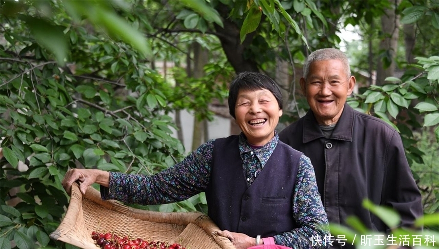 农村老人担心的养老问题，有解决措施了，来看看是什么