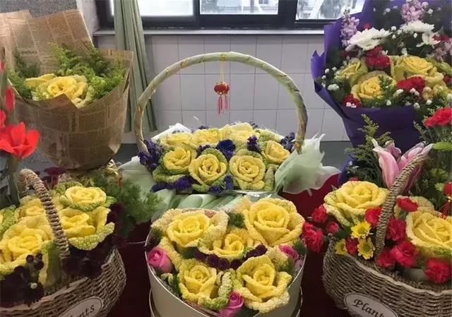 亩产值过7万，15 元一棵的“玫瑰白菜”，一夜之间火遍全国