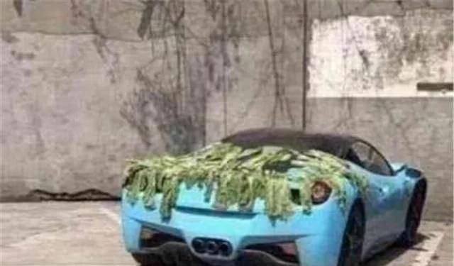  车上：大妈在百万豪车上晒腌菜，车不是自己的，车主过来后尴尬了……