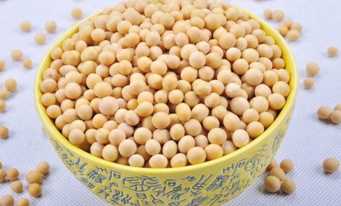  【盆里】盆里埋几粒“它”，不用施肥，米兰花也能花开满枝！